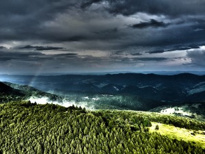 IMG 5368-HDR         